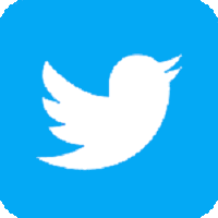 Twitter In Logo