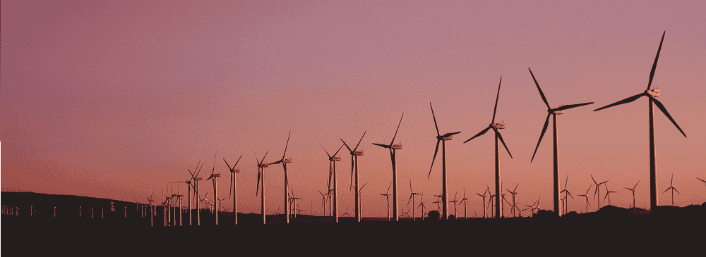 Image to represent Sustainability - A photo of a wind farm from a distance at sunset.